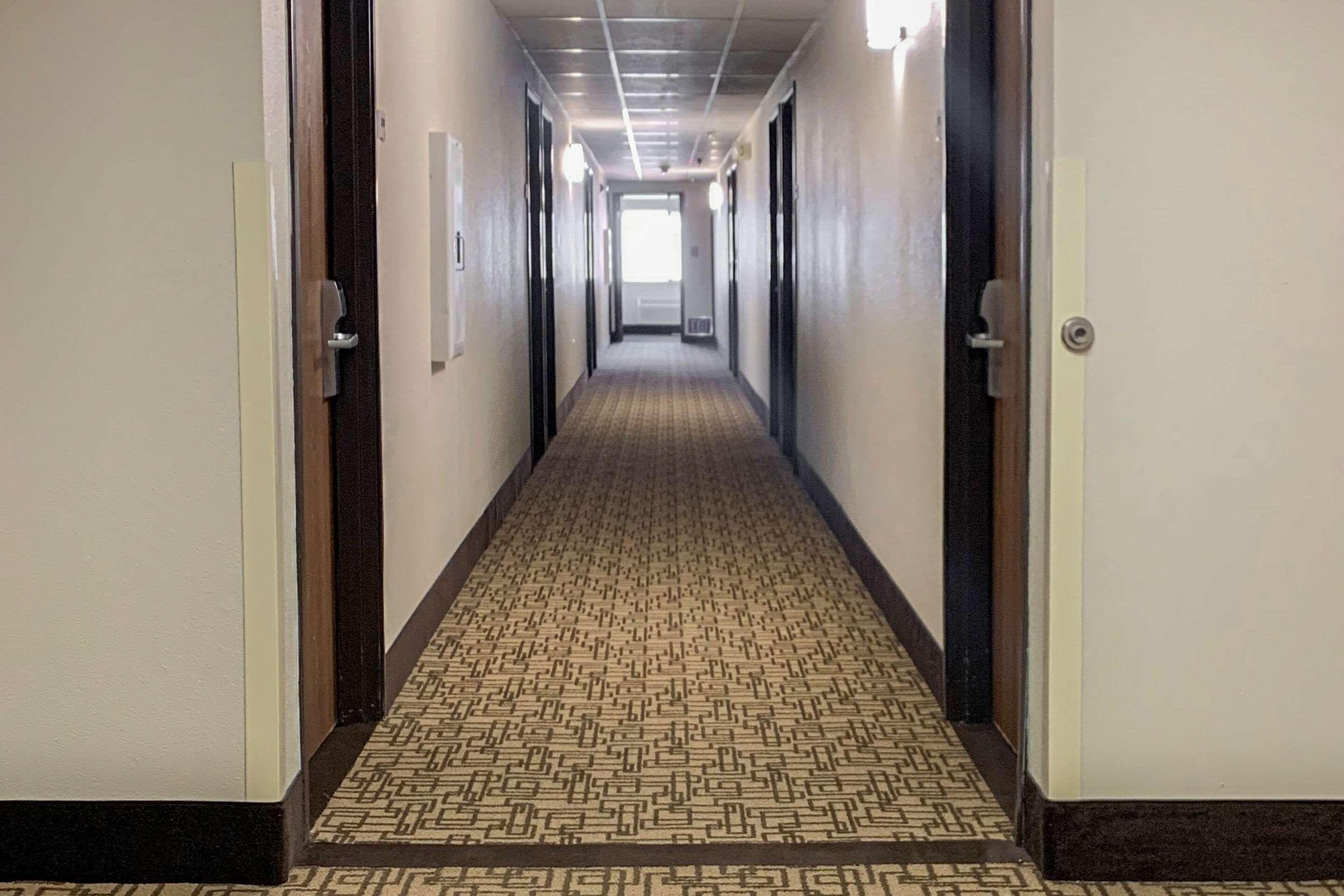 Quality Inn Albuquerque East I-40 Juan Tabo Exit מראה חיצוני תמונה